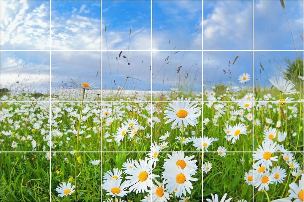 Fliesenaufkleber 15x15 cm – 24 Stück – Selbstklebend – Wasserfest – Pflegeleicht – Hitzebeständig – Für Küche & Bad – Blumenwiese...