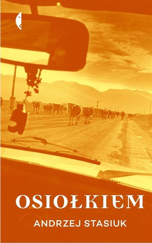 ISBN 978-83-804-9378-0, Polnisch, Hardcover, 200 Seiten