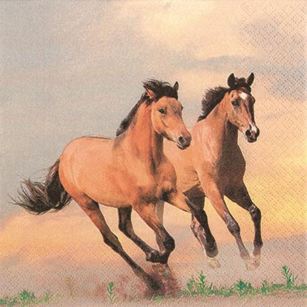 Tovaglioli 33x33 cm - Wild Horses Immagine del prodotto 
