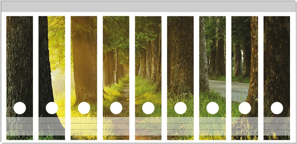 Wallario Ordnerrücken Sticker, selbstklebend für breite Ordner, 9 Stück, Motiv Allee bei Sonnenuntergang
