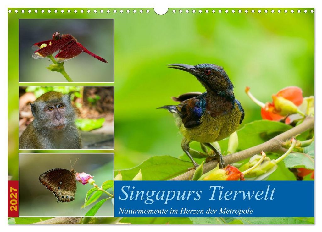 Singapurs Tierwelt (Wandkalender 2027 DIN A3 quer), CALVENDO Monatskalender