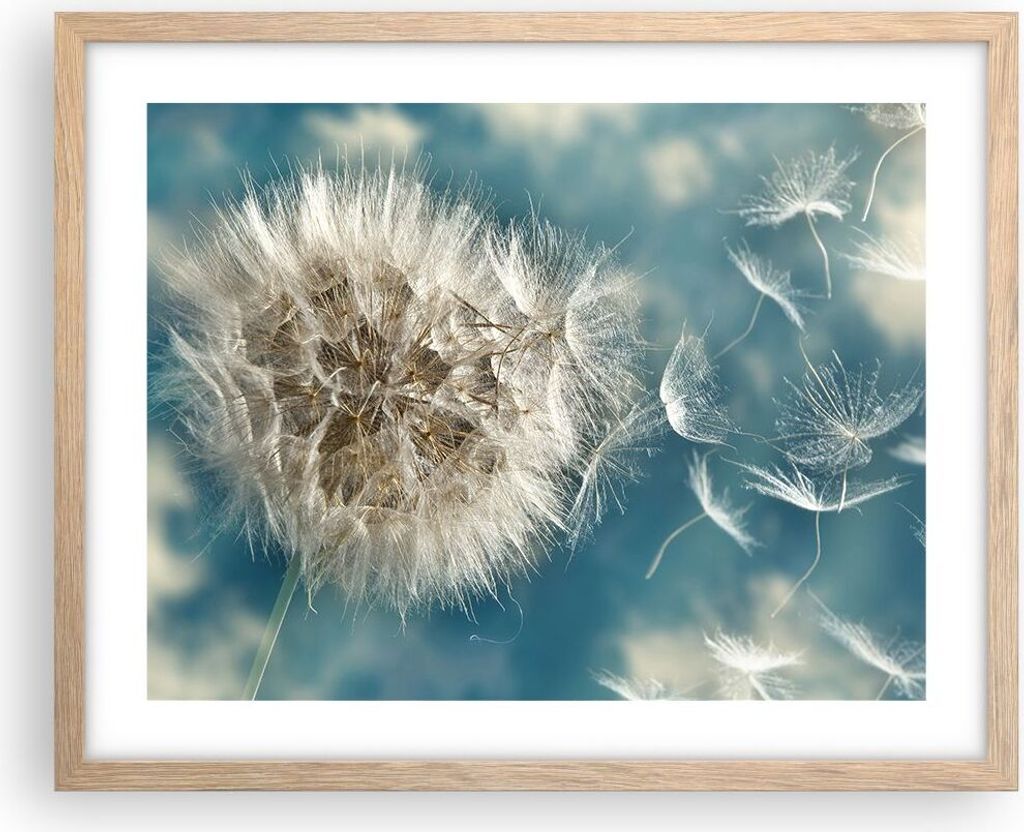 Gerahmtes Poster - Rahmen in heller Eiche - Baby Sommer Pflanze - 50x40 cm - Wand Bild - Wanddeko - Wandbilder - Wandposter - Bilderrahmen - Bilder...