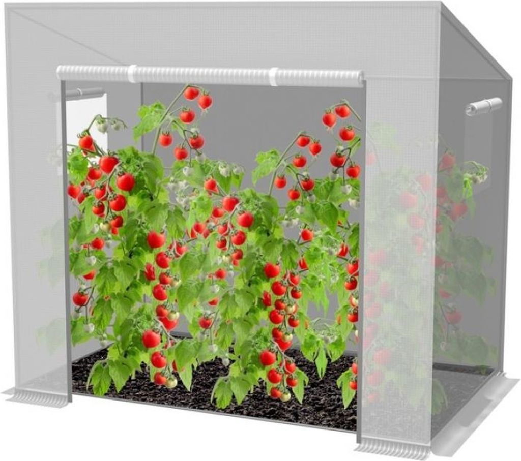 Gartenfoliengewächshaus für Tomaten 200 x 80 x 170 cm – Produktbild 
