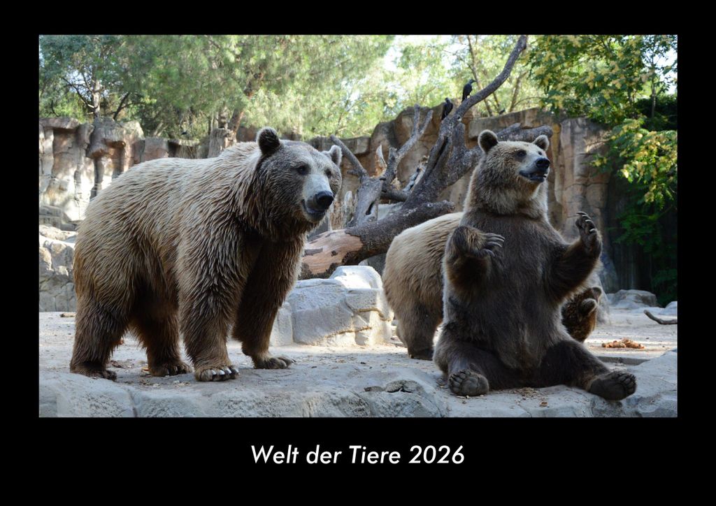 Welt der Tiere 2026 Fotokalender - Querformat DIN A3, Monatskalender mit Bild-Motiven von Haustieren, Bauernhof, wilden Tieren und Raubtieren