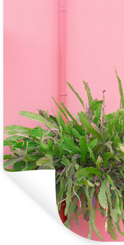 MuchoWow Wandtattoo Wandsticker Wandaufkleber Pflanze - Sommer - Rosa 40x80 cm Selbstklebend und Repositionierbar - Repositionierbar - Wasser abw...