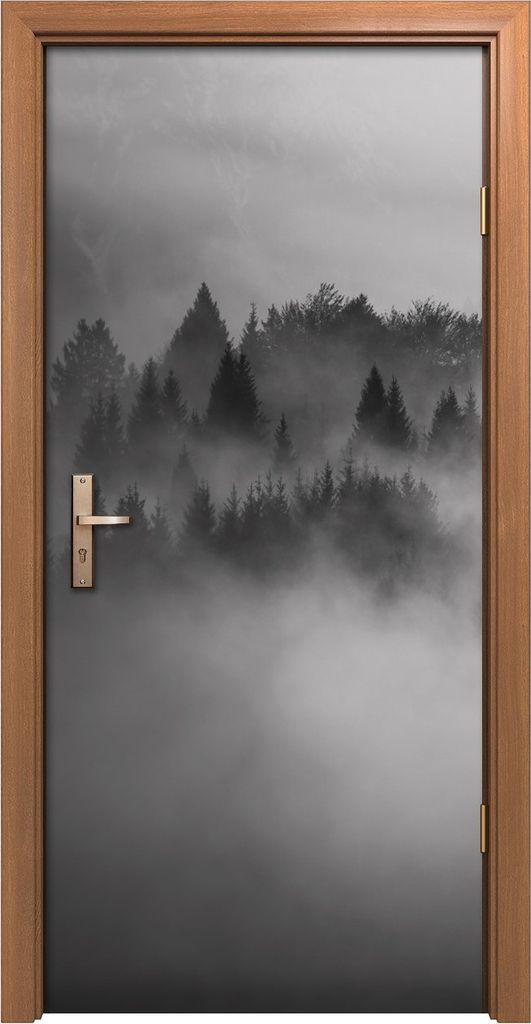 Türposter 90x200 cm Türaufkleber Türtapete Türfolie Klebefolie Deko Kunst Schwarz Weiß Landschaft