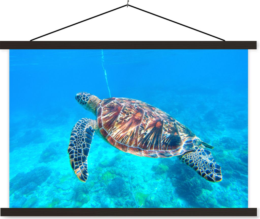 MuchoWow Textilposter Schildkröte - Meer - Blau 150x100 cm mit schwarzem Rahmen - Schlafzimmer