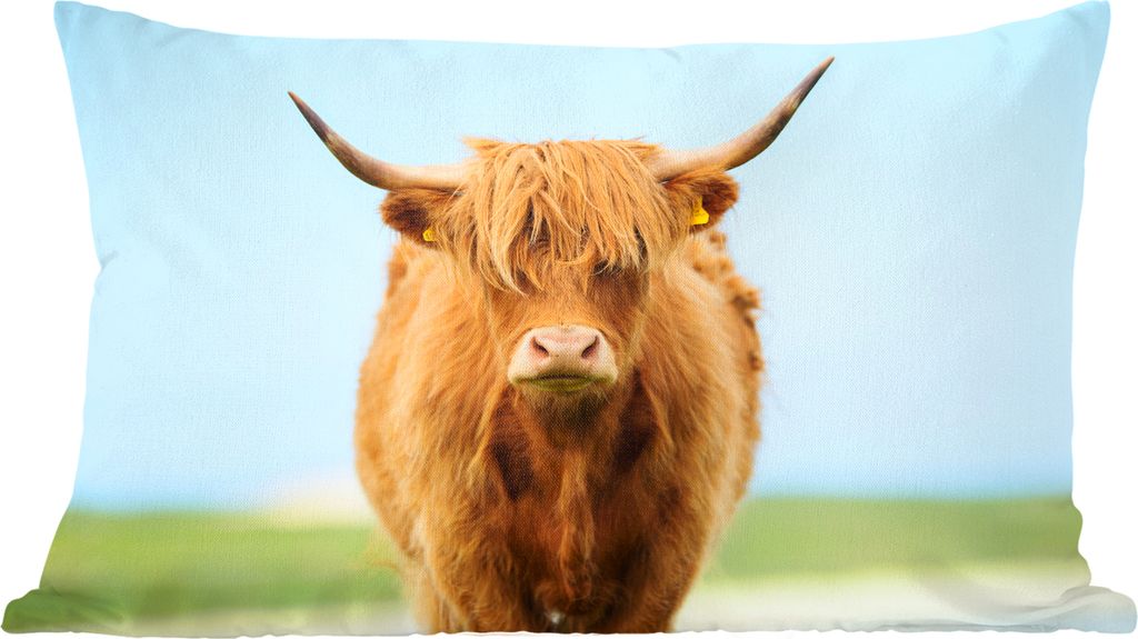 MuchoWow Zierkissen Sofakissen Wohnzimmer Dekokissen 60x40 cm Schottisches Hochlandrind - Haare - Gras - Kopfkissen - Polster mit Foto