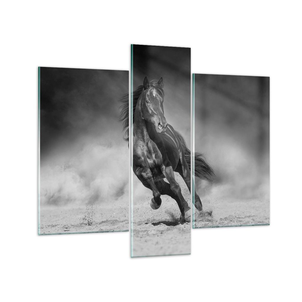 Bilder auf glas - 3 Teile - Pferd Galopp dynamisch - 95x80cm - Glasbilder - Wandbilder - Bilder - zum Aufhängen bereit - Wanddekoration aus Glas -...