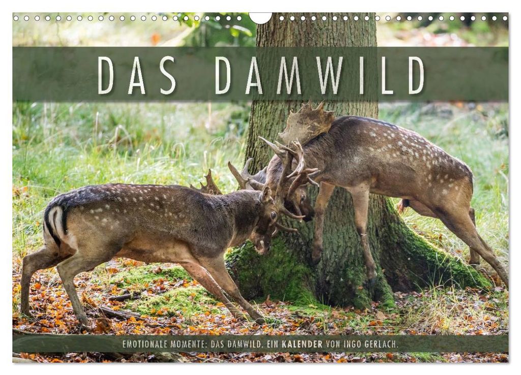 Emotionale Momente: Das Damwild. (Wandkalender 2027 DIN A3 quer), CALVENDO Monatskalender