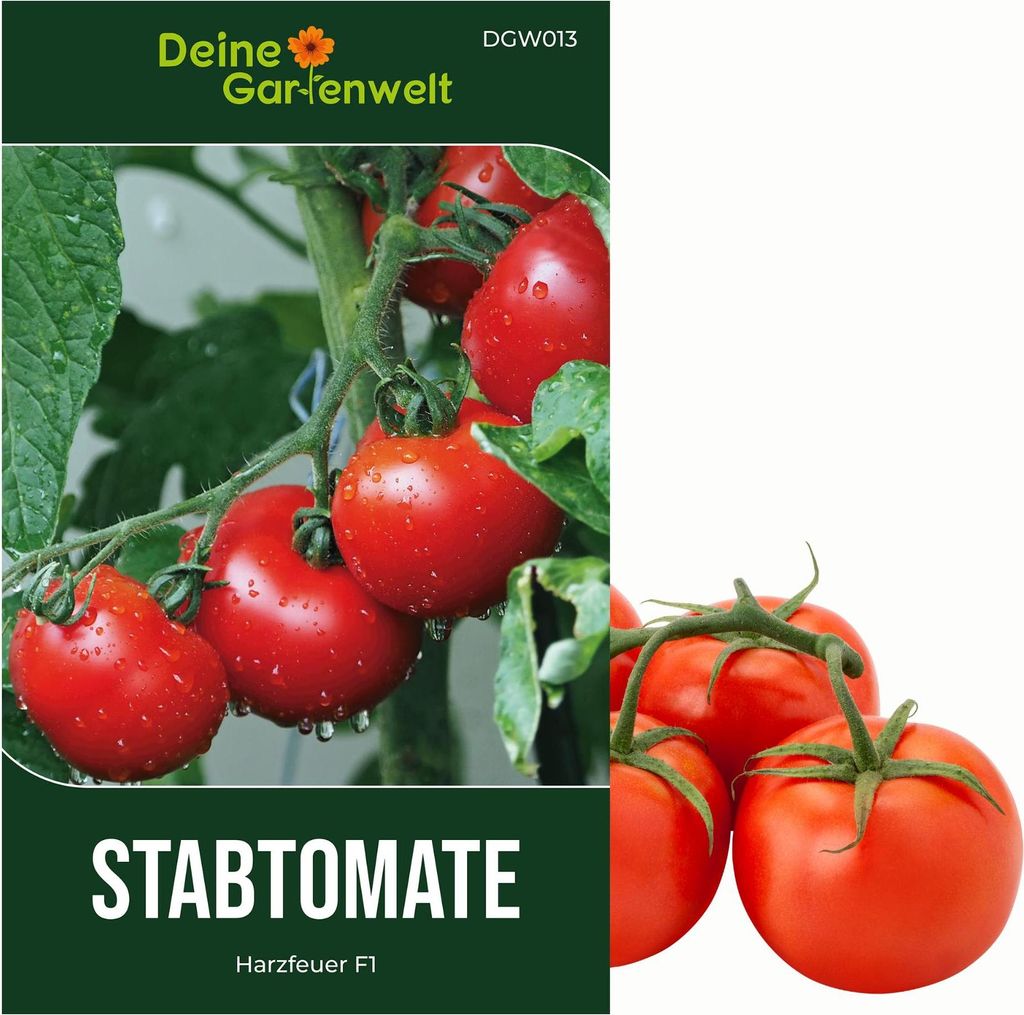 Stabtomaten Harzfeuer F1 Samen - Solanum lycopersicum - Produktbild 