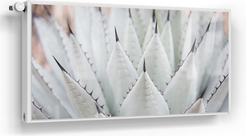 DEQORI Magnetmatte Heizung Standard 120x60 cm 'Agavenästhetik' Magnetfolie