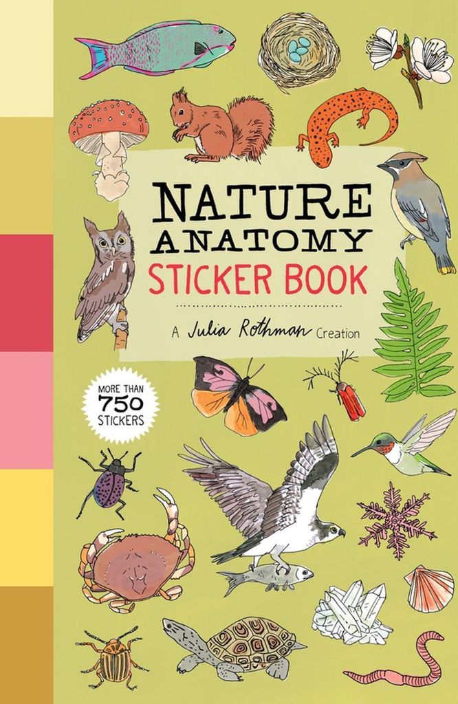 Nature Anatomy Sticker Book – Lingua: Inglese