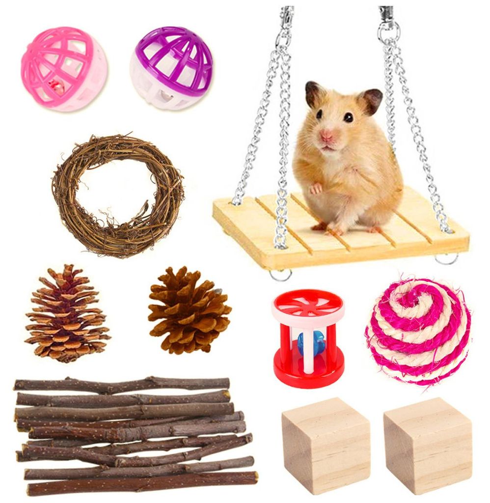 Hamsterspielzeug, das Hamstern, Rennmäusen und anderen Kleintieren zum Kauen und Spielen dient, regt sie zum Zähneknirschen an.