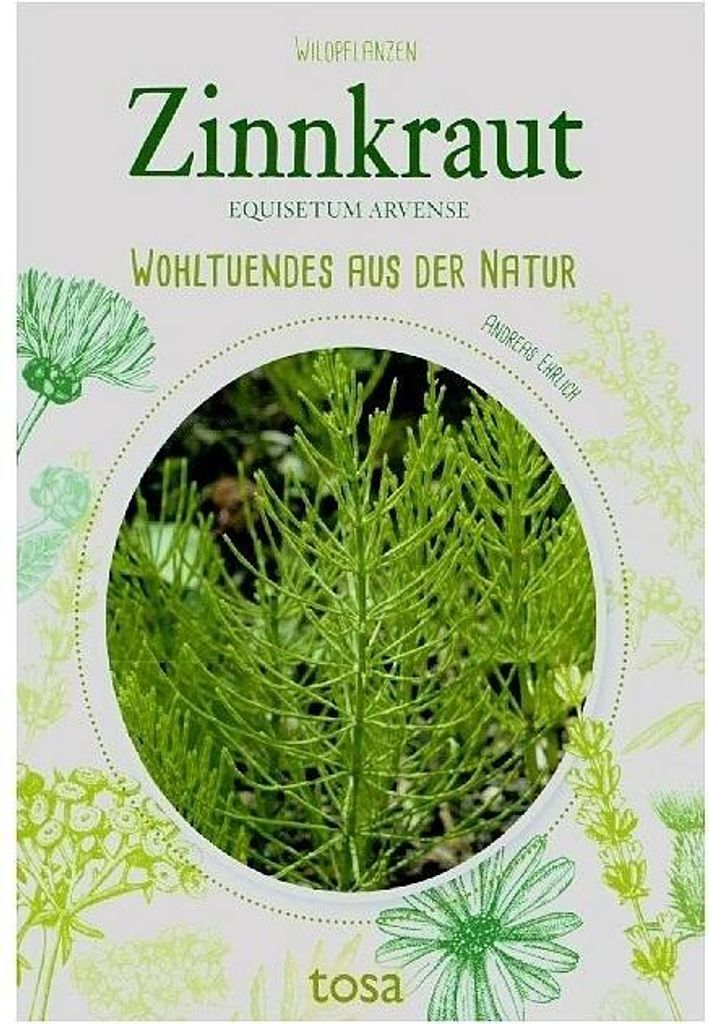 Zinnkraut Produktbild 