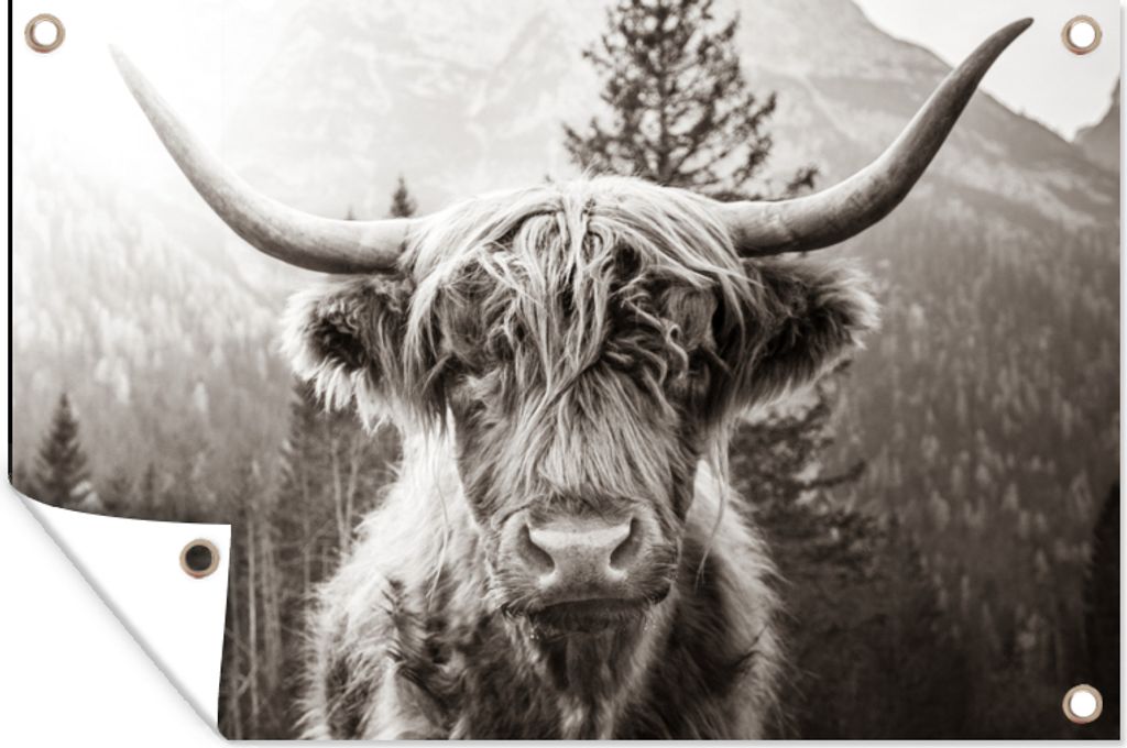 MuchoWow 90x60 cm Outdoor-Poster Gartendeko Sichtschutz Garten Poster für den Garten Schottischer Highlander - Kuh - Tiere - Schwarz - Weiß