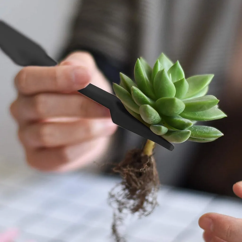 Kit entretien succulentes 15 pièces avec mini outils de jardinage noirs