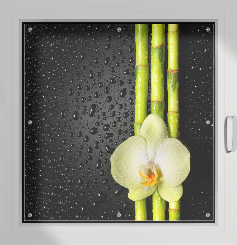 Wallario Lichtschutzbild, Dekorativer Sichtschutz Sonnenschutz 96 x 93 cm mit Motiv: Grüne Orchidee mit Bambus auf schwarz - Regentropfen - Verdun...