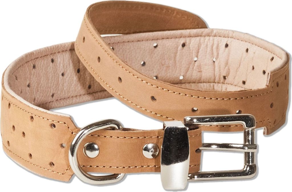 Woodland Hundehalsband aus Büffelleder für große Hunde mit 50-65 cm Halsumfang in Natur