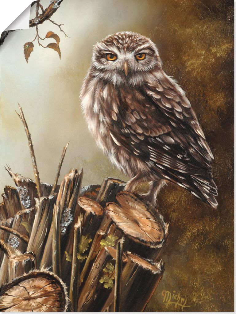 ARTland Poster Eule Größe: 30x40 cm