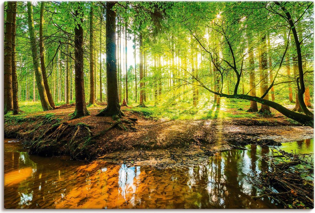 ARTland Leinwandbild Wald mit Bach Größe: 90x60 cm Produktbild 