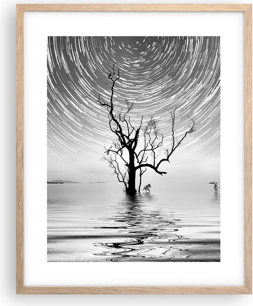 Gerahmtes Poster - Rahmen in heller Eiche - Schwarzweiß Baum See - 40x50 cm - Wand Bild - Wanddeko - Wandbilder - Wandposter - Bilderrahmen - Bild...
