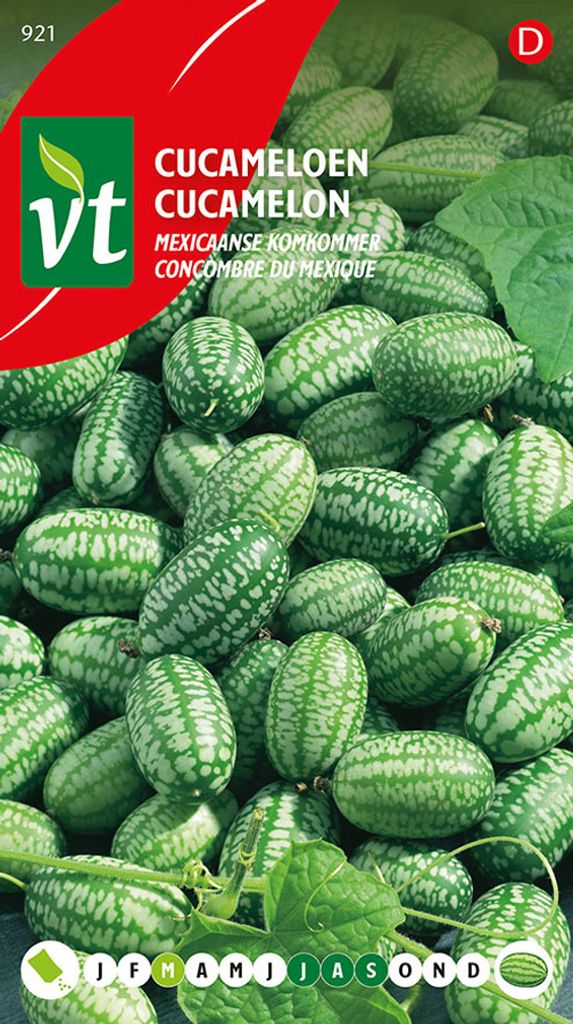 Cetriolo Semi di cetriolo messicano - circa 15 semi | Immagine del prodotto 