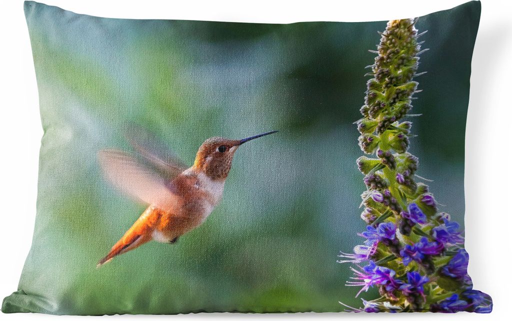 MuchoWow Outdoor Kissen - Vogel - Kolibri - Blume - 50x30 cm - Wetterfest - Lounge Kissen - Sofa kissen - Wohnzimmer Dekoration