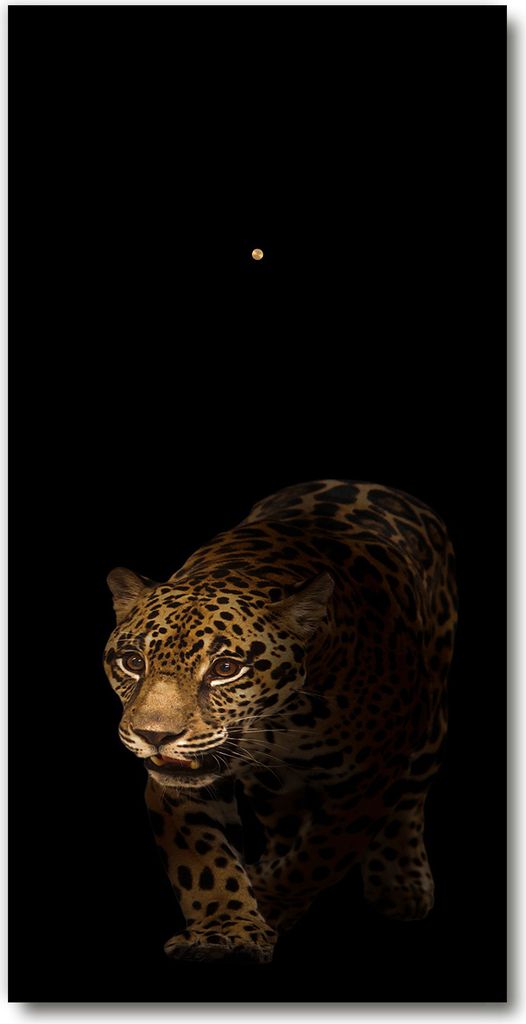 Wanduhr aus Glas – 30x60 cm - Glasbild - Glasuhr - Gehärtetes Glas -Jaguar