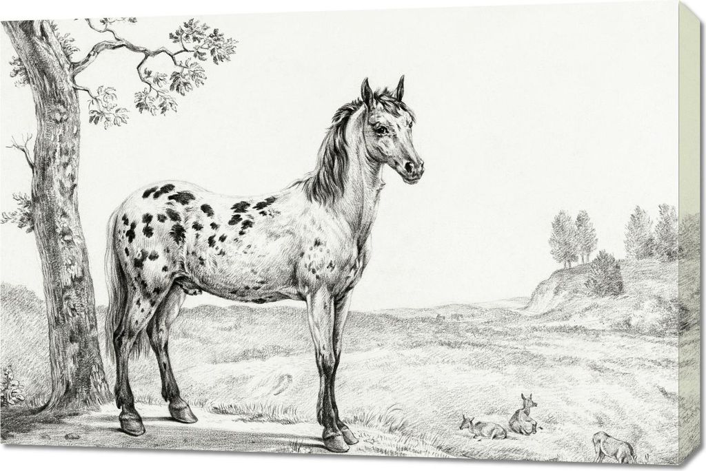 Bild 90x60cm Stehender Bunter Pferd, Jean Bernard für das Wohnzimmer