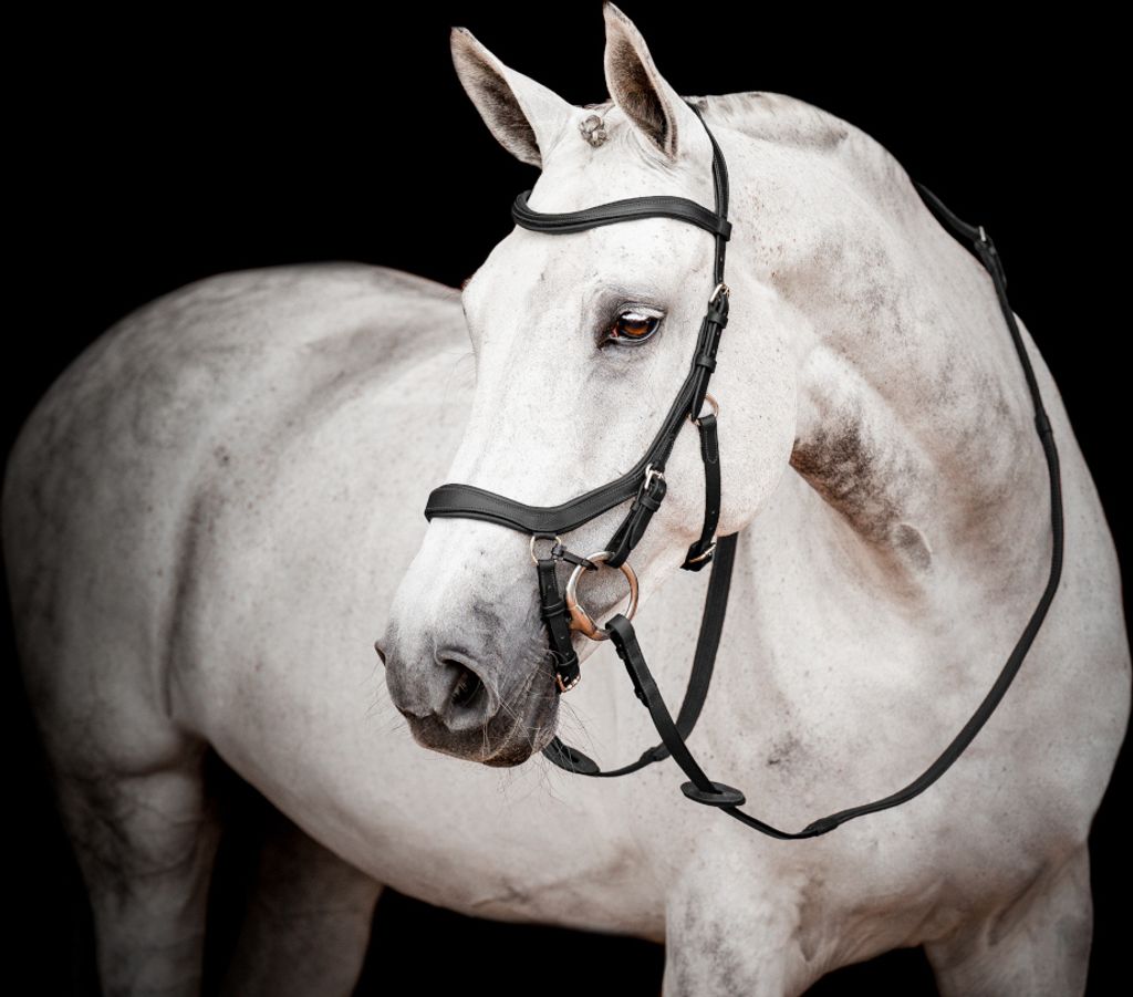 Horseware Ireland Trense Micklem 2 mit Gummizügeln Produktbild