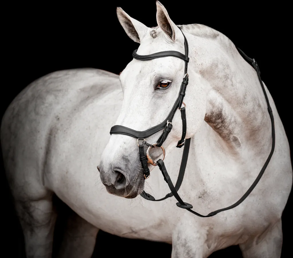 Bridon Micklem 2 Competition Horseware avec rênes Havana X-Full