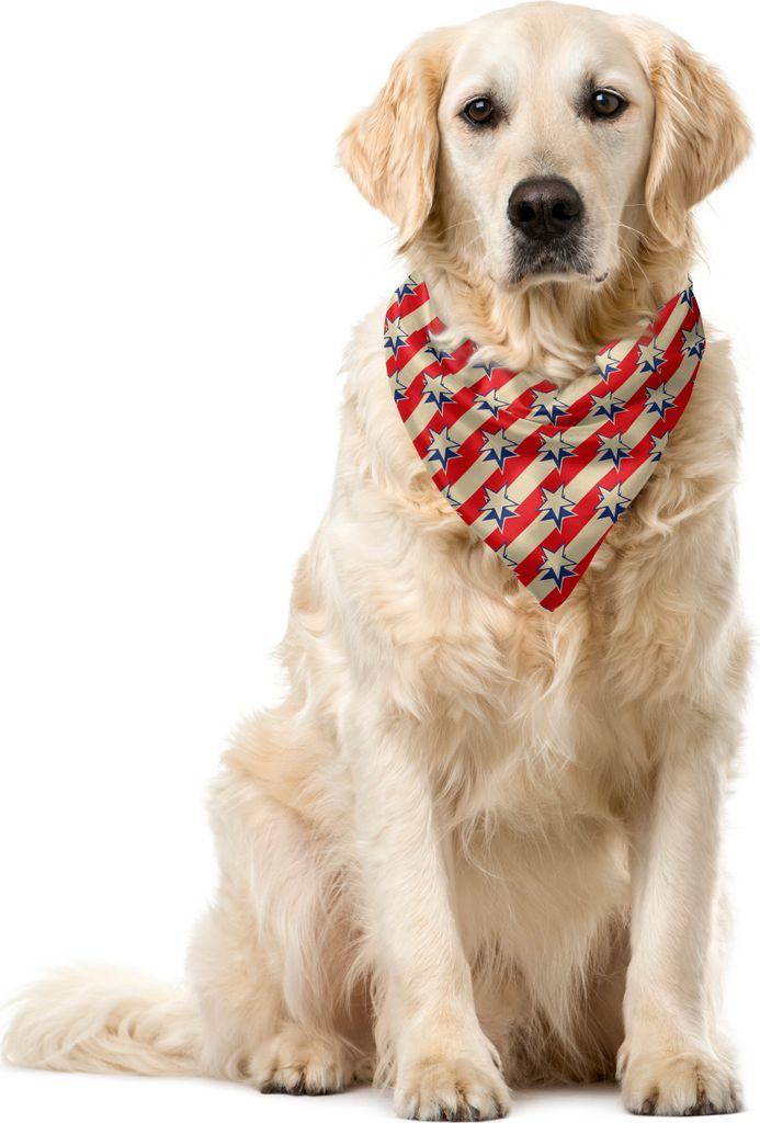 ABAKUHAUS Vereinigte Staaten von Amerika Haustier Bandana, Retro Independence Poster, 40x40 cm, Eischale Rot Marineblau