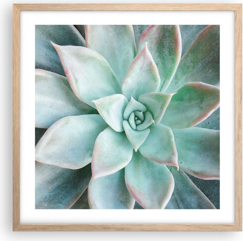 Gerahmtes Poster - Rahmen in heller Eiche - Blau Blätter Agave - 50x50 cm - Wand Bild - Wanddeko - Wandbilder - Kunstposter - Wandposter - Bilderr...