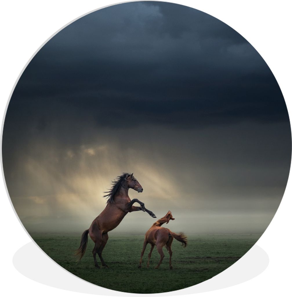 MuchoWow Rundes Wandbild - Runde Bilder Pferde - Braun - Wolken Ø 30 cm Kreis Wanddekoration Kunststoff - Wandkreis - Wandschmuck - Schlafzimmer...
