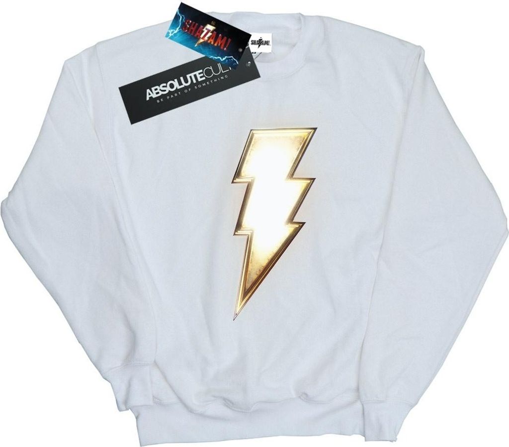 DC Comics - Sweatshirt für Herren BI44481 (L) (Weiß)