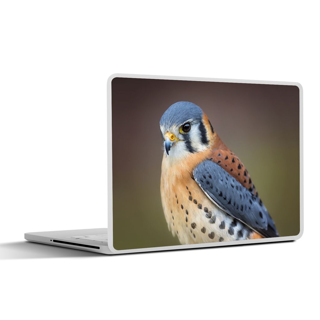 MuchoWow Laptop Aufkleber Sticker Cover Vogel - Makro - Blau 30x22 cm - Laptop-Sticker