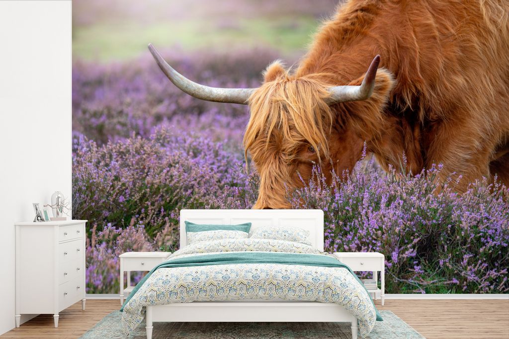 MuchoWow Fototapete für Wohnzimmer oder Schlafzimmer Wandtapete Vinyl Motivtapete Schottischer Highlander - Tiere - Heide - 420x280 cm - Zimmer ...