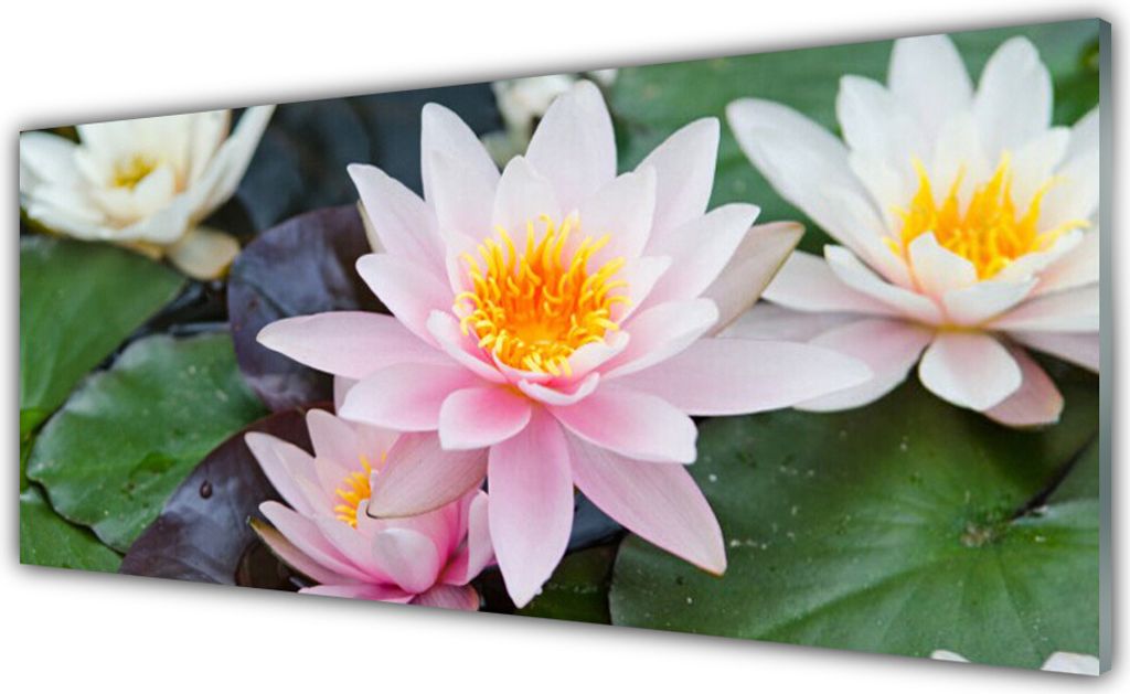 Glasbilder 125x50 Wandbild Druck auf Glas Blumen Pflanzen