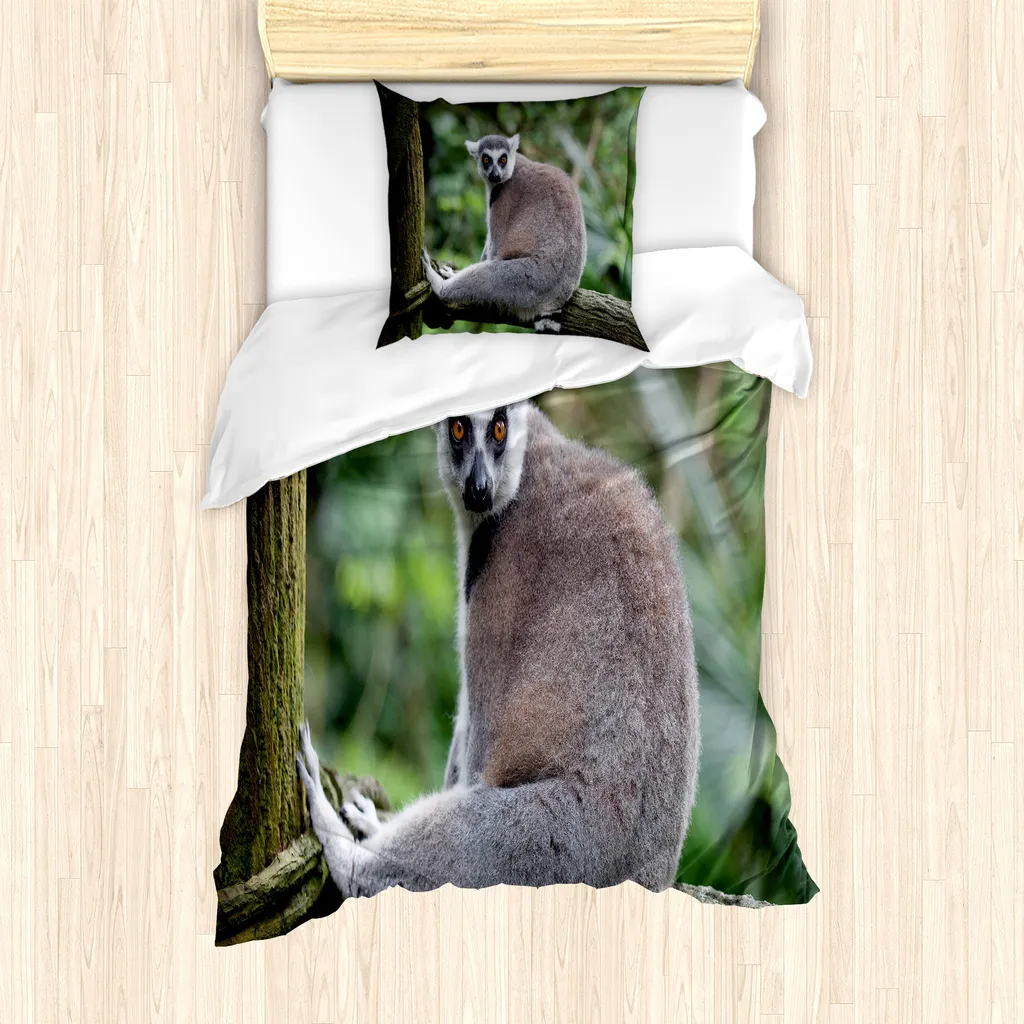 ABAKUHAUS Set copripiumino Lemur per letti singoli, foto di mammiferi del Madagascar, antiacaro, adatto a chi soffre di allergie, con federa, 135 cm x 200 cm - 80 x 80 cm, color tortora caldo e verde reseda