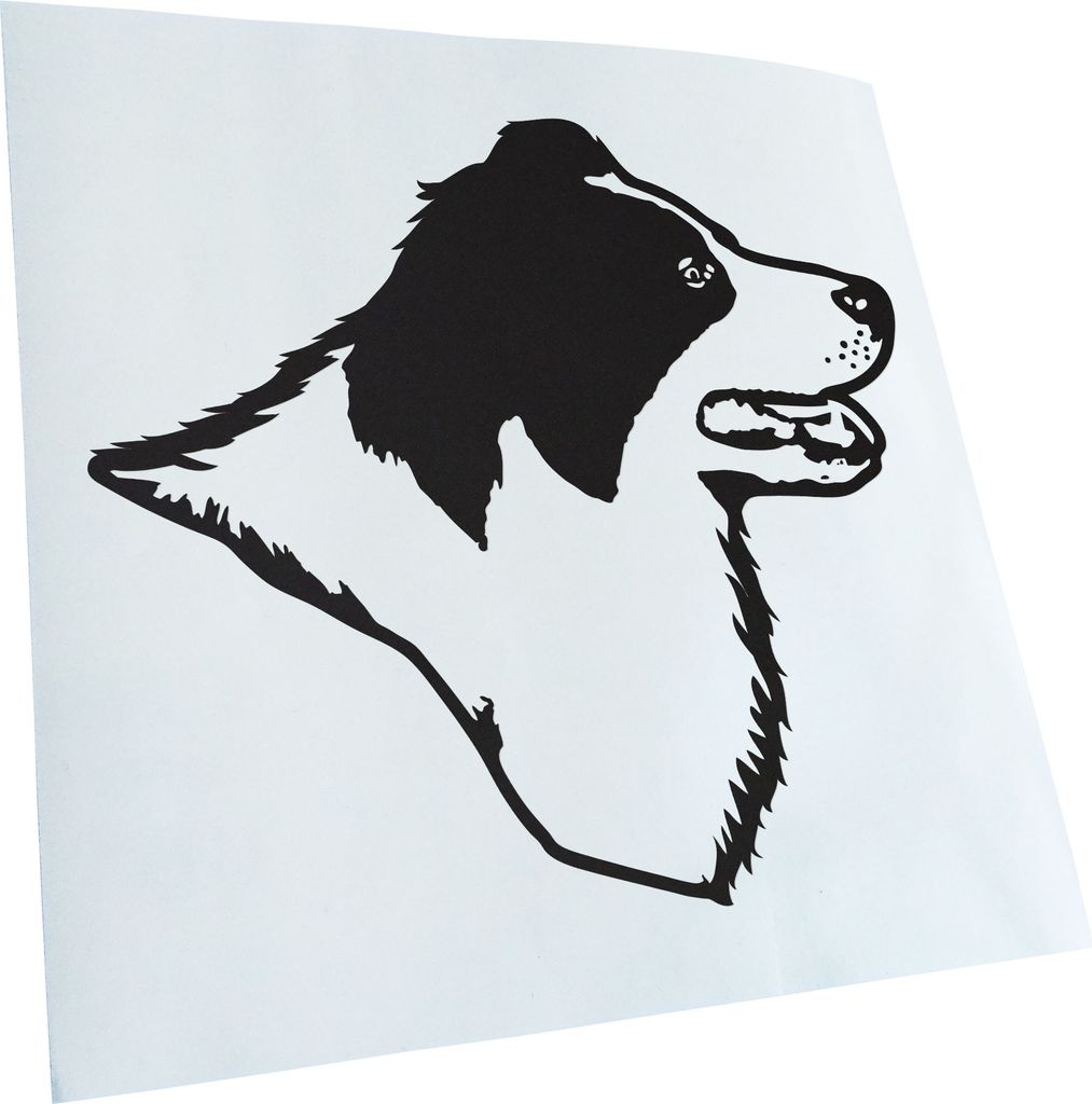 Kiwistar - Autoaufkleber - Border Collie Hund - Mattschwarz - 50x45cm - Aufkleber für Auto, Laptop, Fahrrad, LKW, Motorrad mehrfarbig JDM Decal Ra...