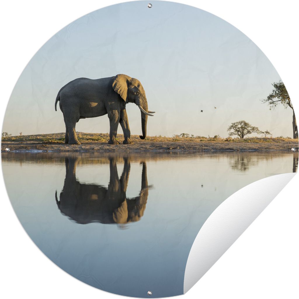 MuchoWow Gartenposter Outdoor-Poster Rund Elefant an einem See Ø 120 cm Gartendeko Rundes Poster draußen