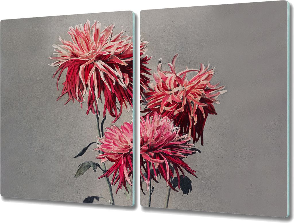 Coloray Schneidebrett Herdabdeckplatte 2x40x52 cm Kochplattenabdeckung Küchenbrett Hackbrett - Blumen Pflanzen