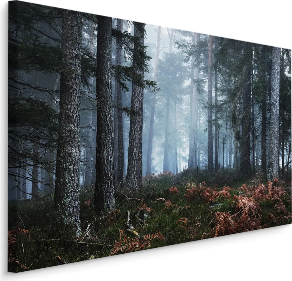 Favolosa tela SCREEN PICTURE 70x50 cm XXL stampa d'arte foresta nebbia alberi natura