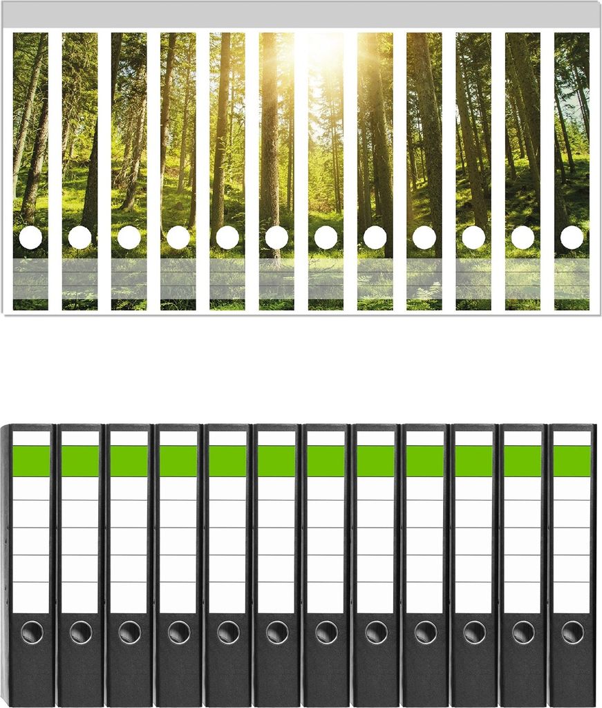 Wallario 12 Stück schmale Ordner inkl. Klebeetiketten mit Motive Sonnenstrahlen im Nadelwald mit Moos und Farn - Set mit Rückenschildern / Ordne...