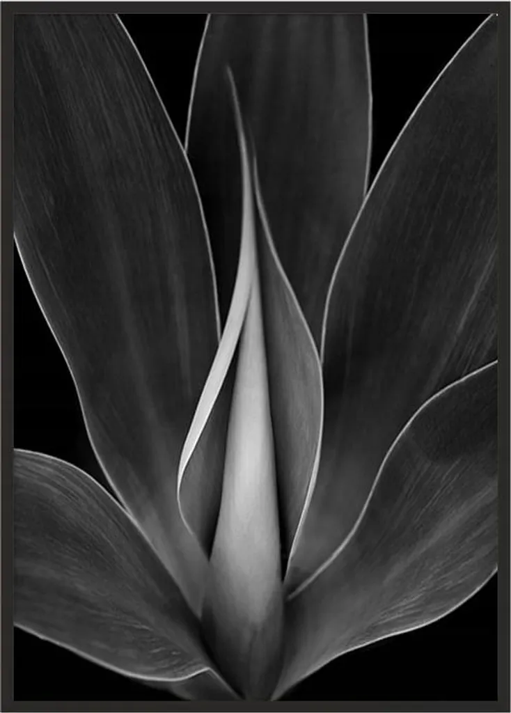 Poster Fotografico Fiore P1036 con Cornice 53x73 cm - Arredo Moderno