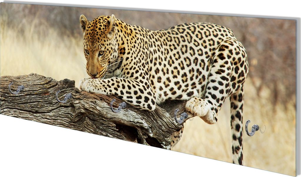Wallario Flurgarderobe Wandgarderobe aus Glas, mit 5 Haken, Größe 80 x 30 cm, Motiv Leopard auf Baumstamm in Afrika