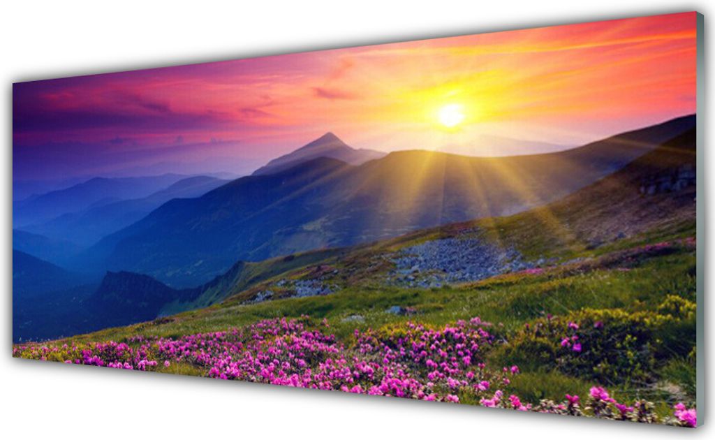Acrylglasbilder 125x50 Wandbild Druck Gebirge Blumen Wiese Landschaft