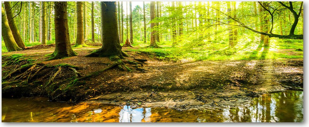 Tulup Leinwandbild - 125x50 cm - Wandkunst - Drucke auf Leinwand - Leinwanddruck - Landschaften - Grün - Sonnenstrahlen Wald