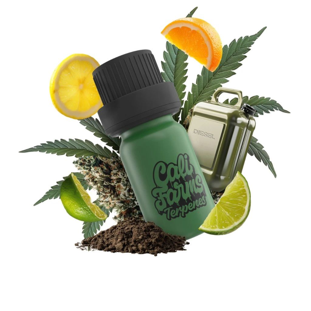 Hanf-Terpene Live Resin | TERPEN-PROFIL - Sour Diesel | 1 Produktbild 
